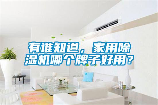 有誰知道，家用除濕機哪個牌子好用？