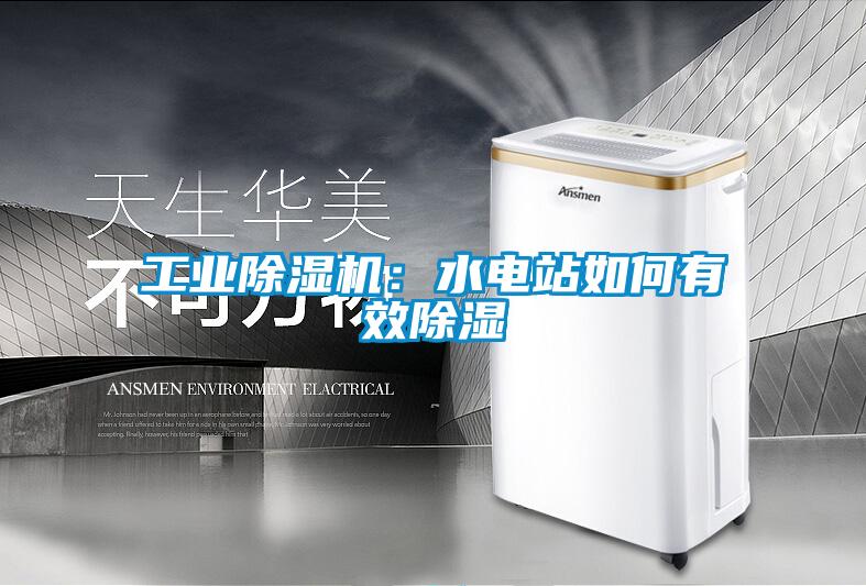 工業除濕機：水電站如何有效除濕