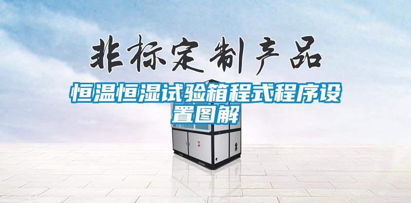 恒溫恒濕試驗箱程式程序設置圖解