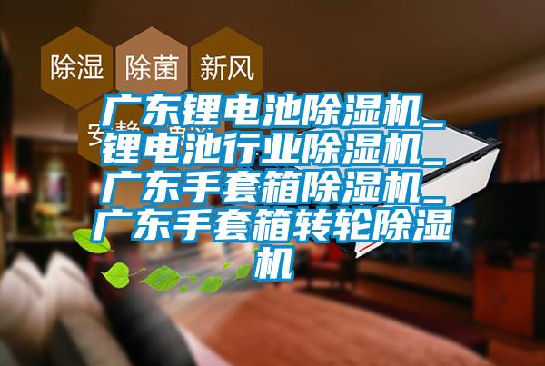 廣東鋰電池除濕機_鋰電池行業除濕機_廣東手套箱除濕機_廣東手套箱轉輪除濕機