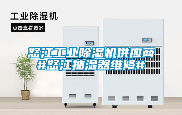 怒江工業除濕機供應商#怒江抽濕器維修#