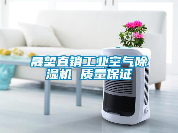 晟望直銷工業空氣除濕機 質量保證