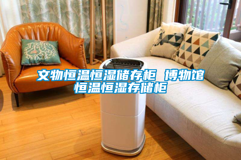 文物恒溫恒濕儲存柜 博物館恒溫恒濕存儲柜