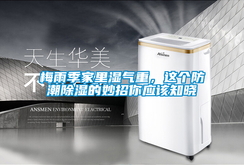 梅雨季家里濕氣重，這個防潮除濕的妙招你應該知曉