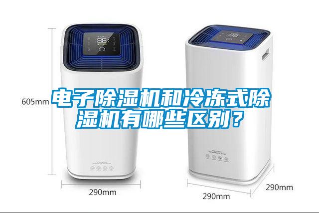 電子除濕機(jī)和冷凍式除濕機(jī)有哪些區(qū)別？