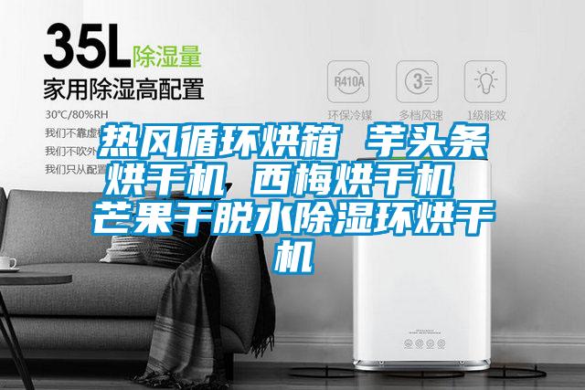 熱風循環烘箱 芋頭條烘干機 西梅烘干機 芒果干脫水除濕環烘干機