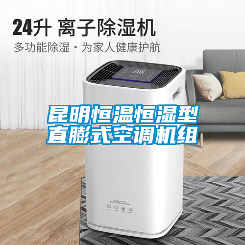 昆明恒溫恒濕型直膨式空調機組