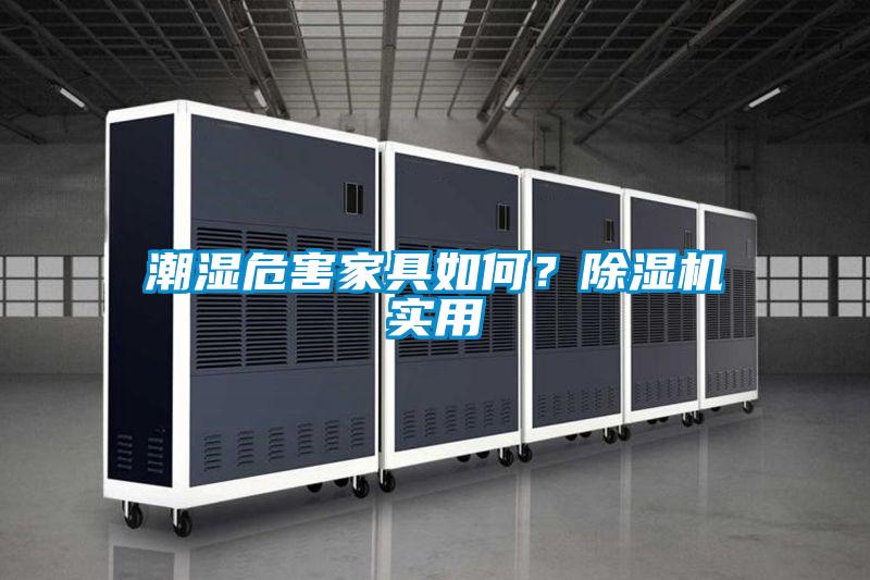 潮濕危害家具如何？除濕機實用