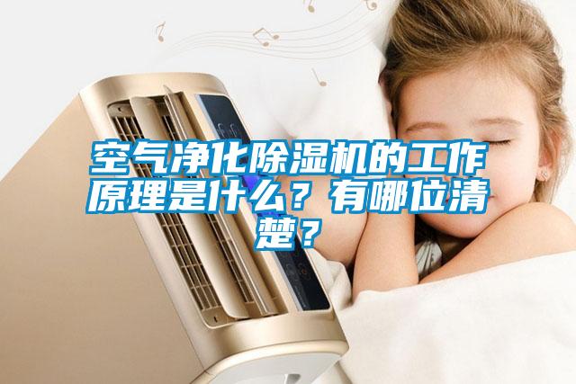 空氣凈化除濕機(jī)的工作原理是什么？有哪位清楚？