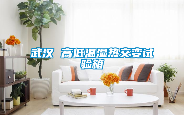 武漢 高低溫濕熱交變試驗箱