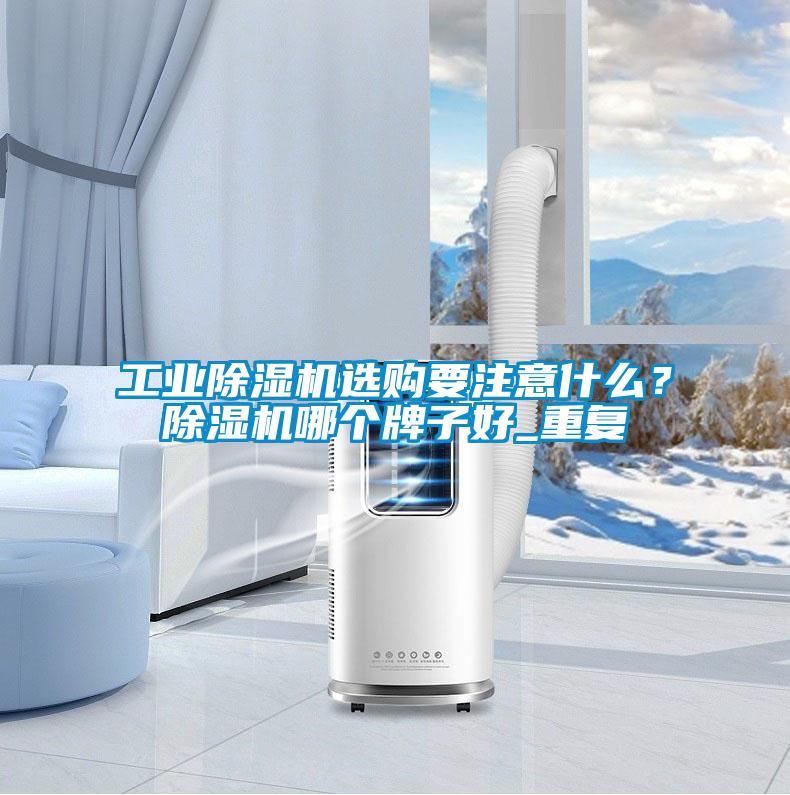 工業除濕機選購要注意什么？除濕機哪個牌子好_重復