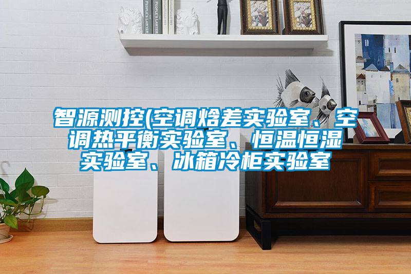 智源測控(空調焓差實驗室、空調熱平衡實驗室、恒溫恒濕實驗室、冰箱冷柜實驗室
