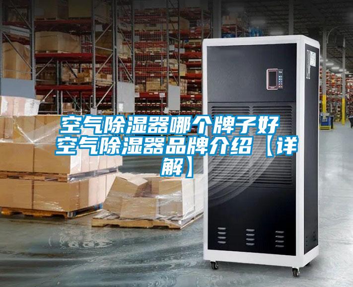 空氣除濕器哪個牌子好 空氣除濕器品牌介紹【詳解】
