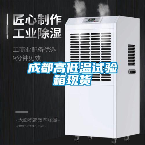 成都高低溫試驗箱現貨