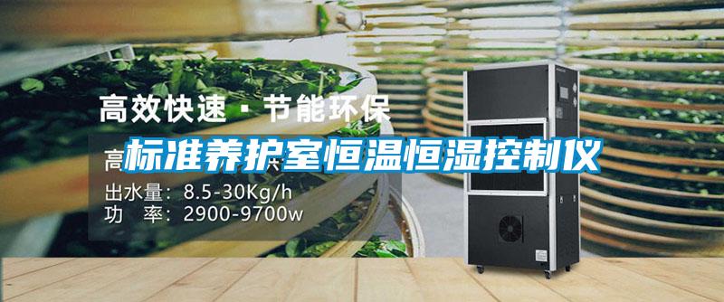 標準養護室恒溫恒濕控制儀