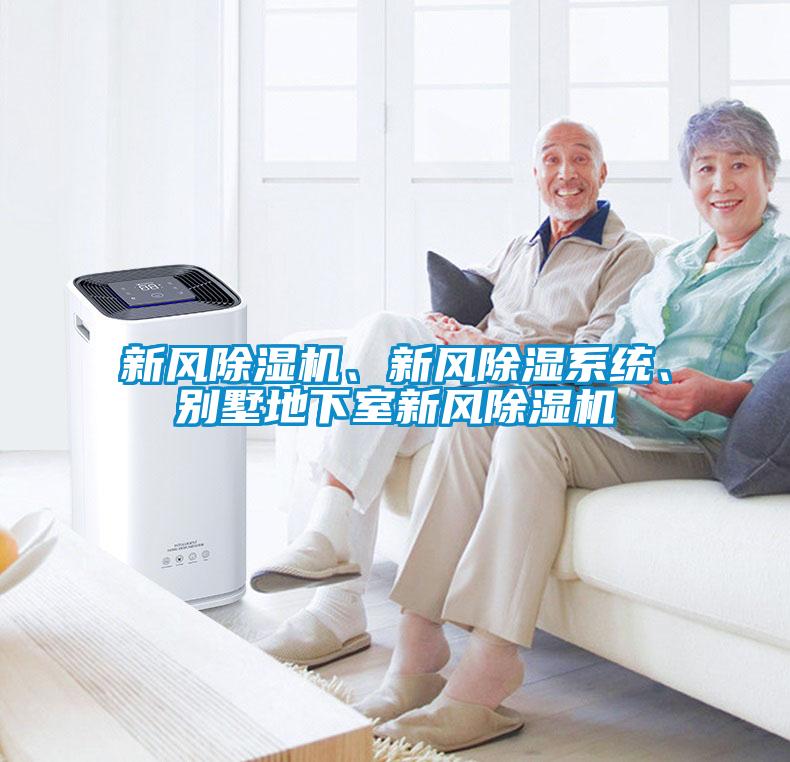 新風除濕機、新風除濕系統、別墅地下室新風除濕機