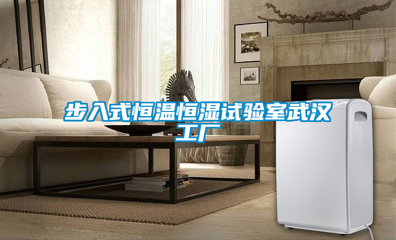 步入式恒溫恒濕試驗室武漢工廠
