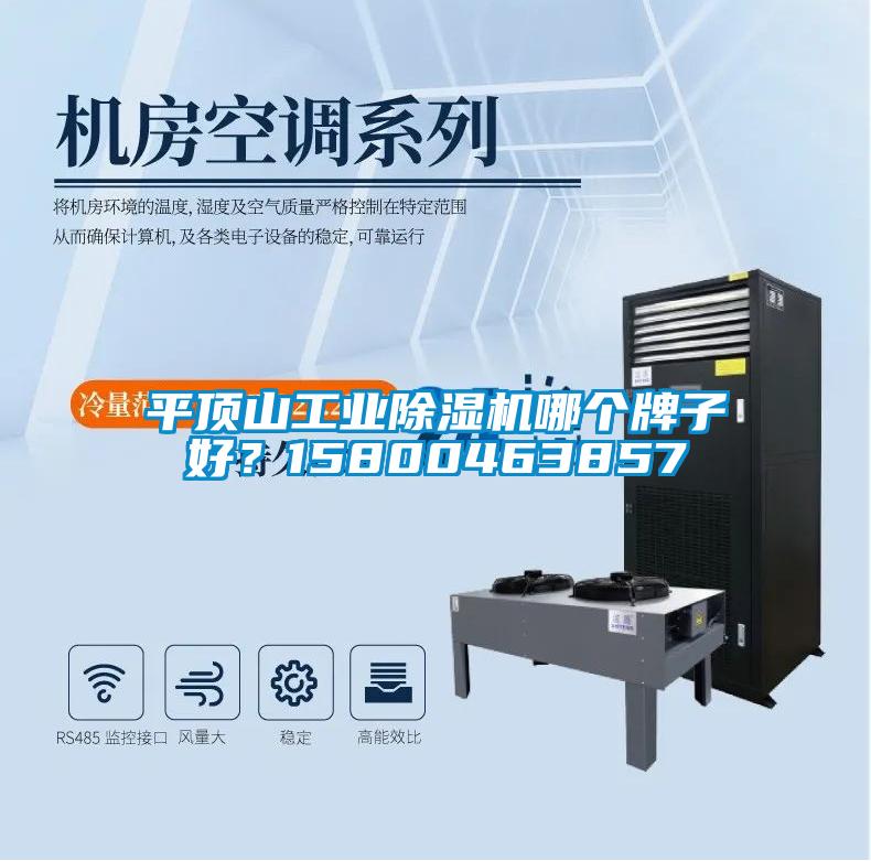 平頂山工業(yè)除濕機(jī)哪個(gè)牌子好？15800463857