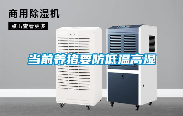 當前養豬要防低溫高濕