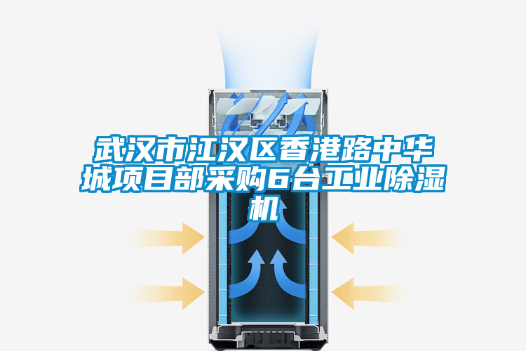 武漢市江漢區香港路中華城項目部采購6臺工業除濕機