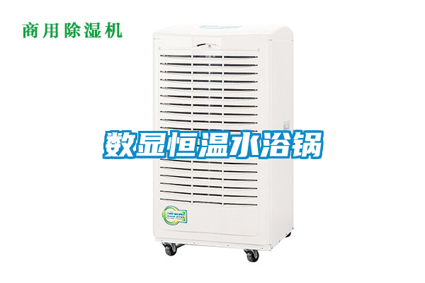 數顯恒溫水浴鍋