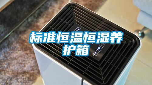 標準恒溫恒濕養護箱