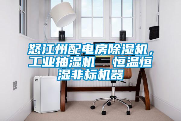 怒江州配電房除濕機，工業抽濕機  恒溫恒濕非標機器