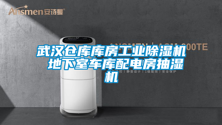 武漢倉庫庫房工業除濕機 地下室車庫配電房抽濕機