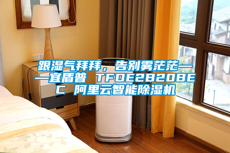跟濕氣拜拜，告別霧茫茫——宜盾普 TFDE2B20BEC 阿里云智能除濕機
