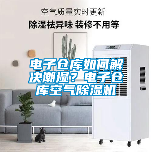 電子倉庫如何解決潮濕？電子倉庫空氣除濕機(jī)