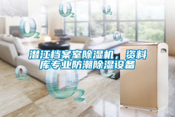 潛江檔案室除濕機，資料庫專業防潮除濕設備