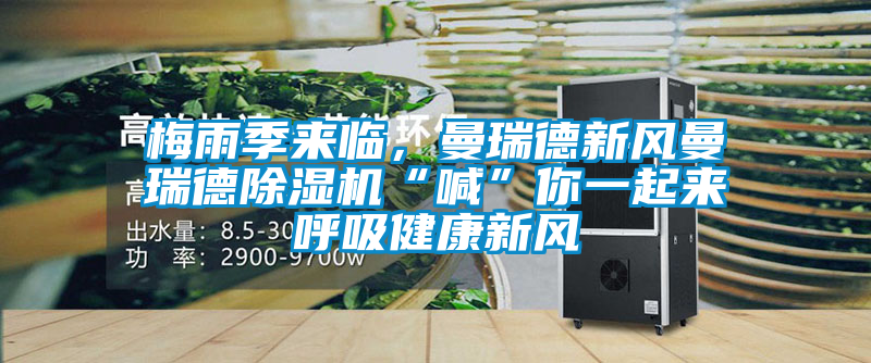 梅雨季來臨，曼瑞德新風曼瑞德除濕機“喊”你一起來呼吸健康新風