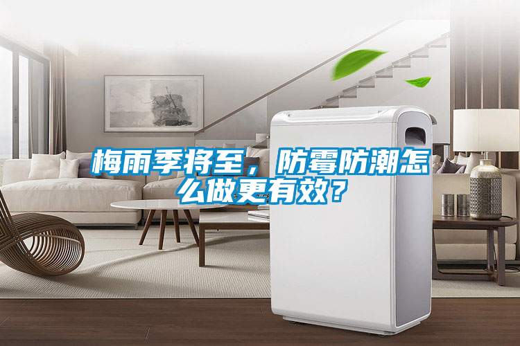 梅雨季將至，防霉防潮怎么做更有效？