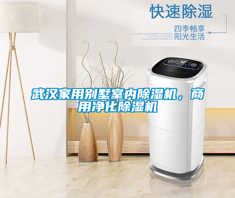 武漢家用別墅室內除濕機，商用凈化除濕機