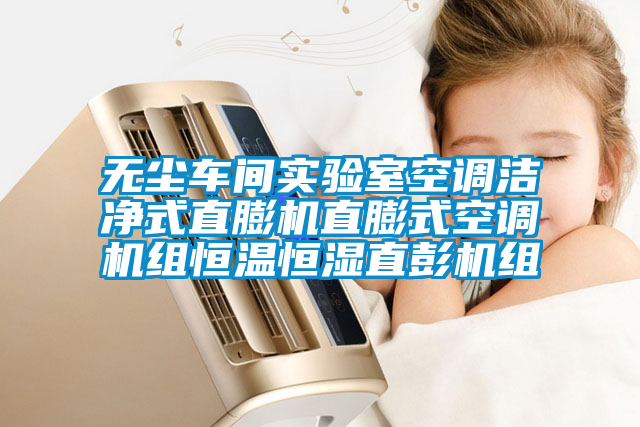 無塵車間實驗室空調潔凈式直膨機直膨式空調機組恒溫恒濕直彭機組