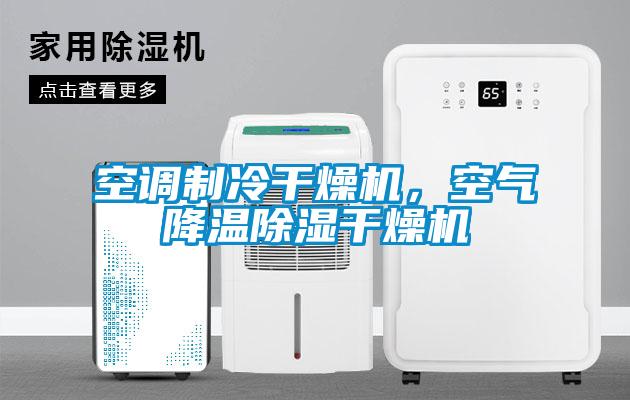 空調制冷干燥機，空氣降溫除濕干燥機