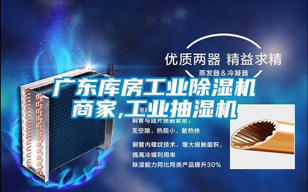 廣東庫房工業除濕機商家,工業抽濕機