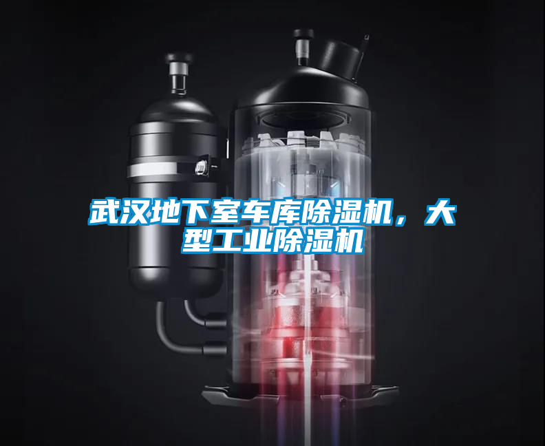 武漢地下室車庫除濕機，大型工業除濕機