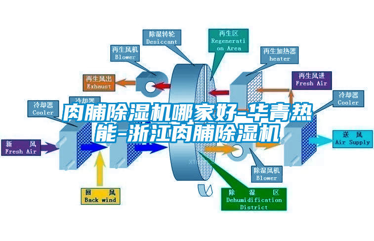 肉脯除濕機哪家好-華青熱能-浙江肉脯除濕機
