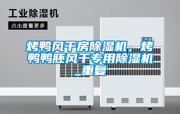 烤鴨風(fēng)干房除濕機(jī)，烤鴨鴨胚風(fēng)干專用除濕機(jī)_重復(fù)