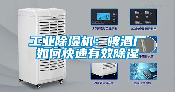 工業除濕機：啤酒廠如何快速有效除濕