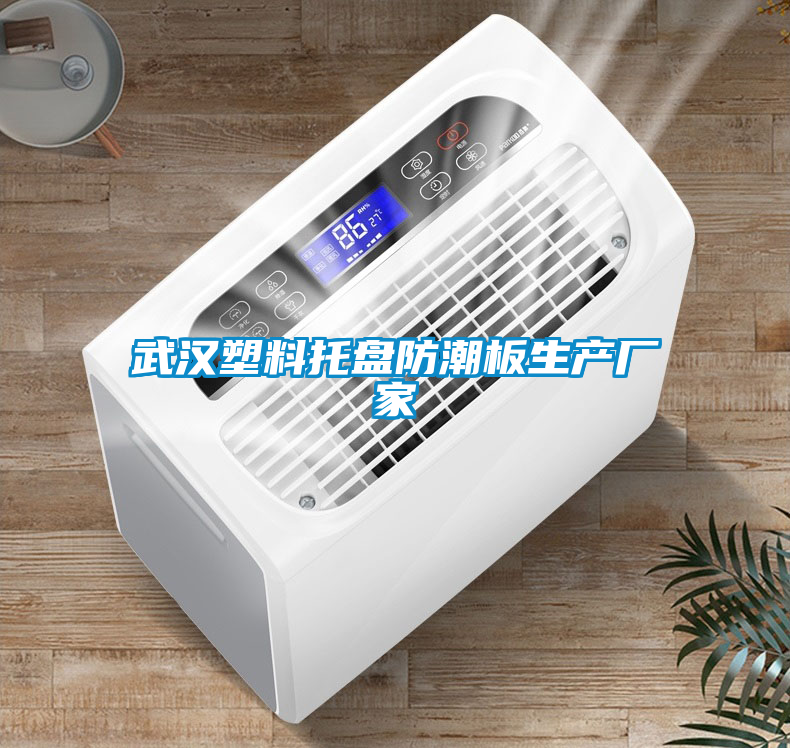 武漢塑料托盤防潮板生產廠家