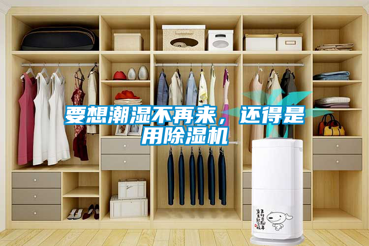 要想潮濕不再來，還得是用除濕機