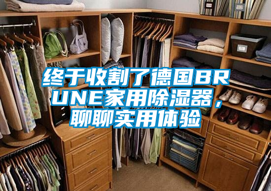 終于收割了德國BRUNE家用除濕器，聊聊實用體驗
