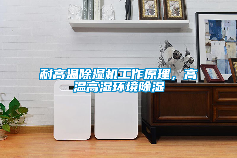 耐高溫除濕機工作原理，高溫高濕環(huán)境除濕