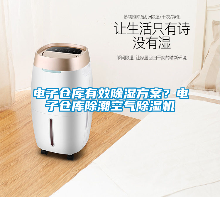 電子倉庫有效除濕方案？電子倉庫除潮空氣除濕機(jī)