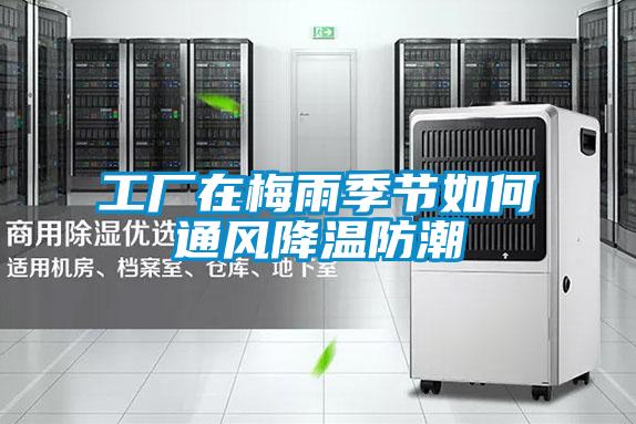 工廠在梅雨季節如何通風降溫防潮