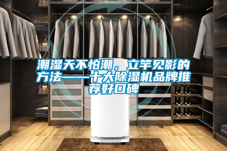 潮濕天不怕潮，立竿見影的方法——十大除濕機品牌推薦好口碑