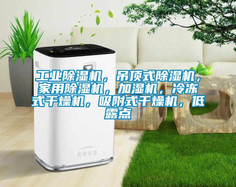 工業(yè)除濕機(jī)，吊頂式除濕機(jī)，家用除濕機(jī)，加濕機(jī)，冷凍式干燥機(jī)，吸附式干燥機(jī)，低露點(diǎn)
