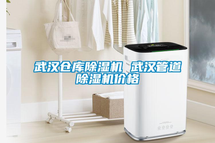 武漢倉庫除濕機(jī) 武漢管道除濕機(jī)價格